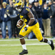 Illustration for article titled University of Michigan Student Prints 5,000 Flyers Accusing Football Player of Giving Her Chlamydia